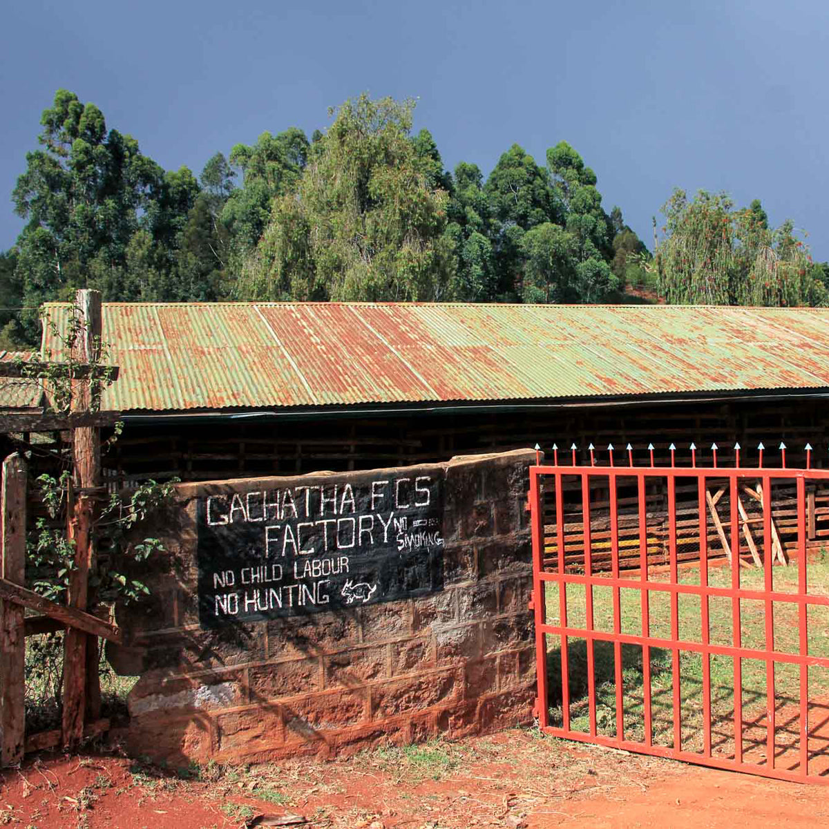 Curious Life Coffee Roasters